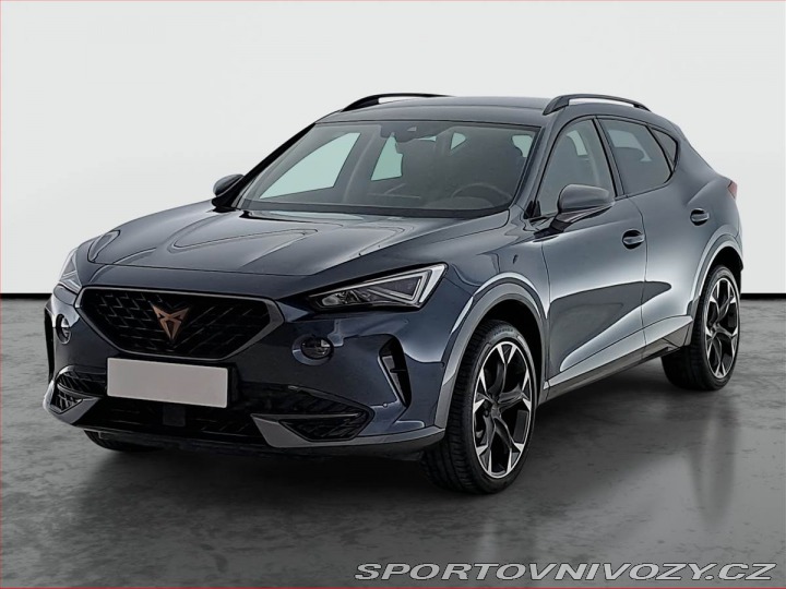 Cupra Formentor 2.0 TSI 4Drive 2024