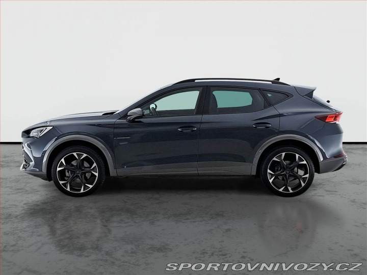 Cupra Formentor 2.0 TSI 4Drive 2024