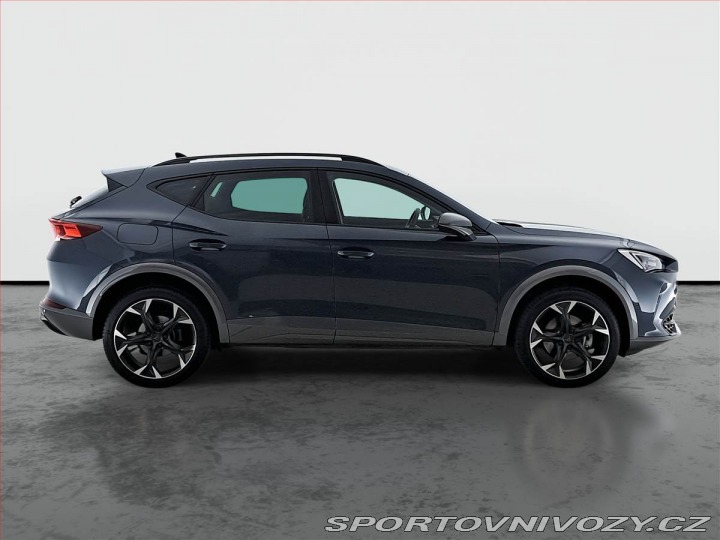 Cupra Formentor 2.0 TSI 4Drive 2024