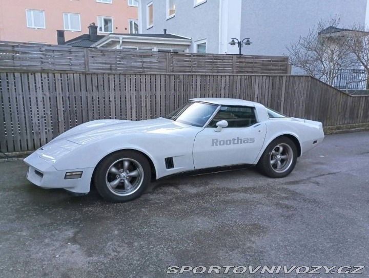 Chevrolet Corvette 1981