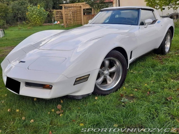 Chevrolet Corvette 1981