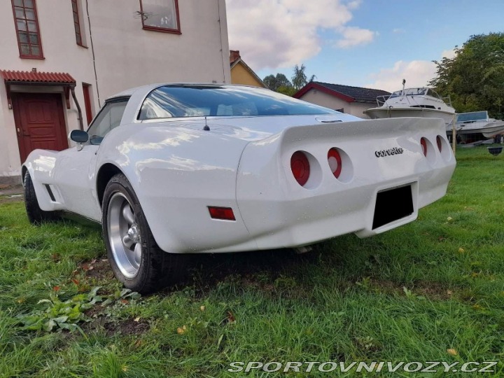 Chevrolet Corvette 1981