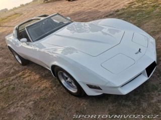 Chevrolet Corvette 1981