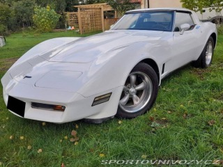 Chevrolet Corvette 1981