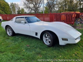 Chevrolet Corvette 1981