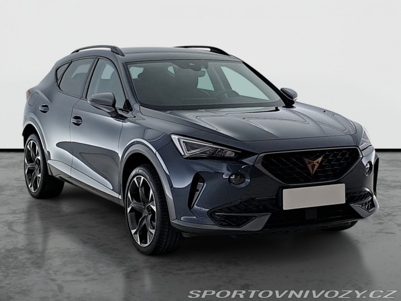 Cupra Formentor 2.0 TSI 4Drive