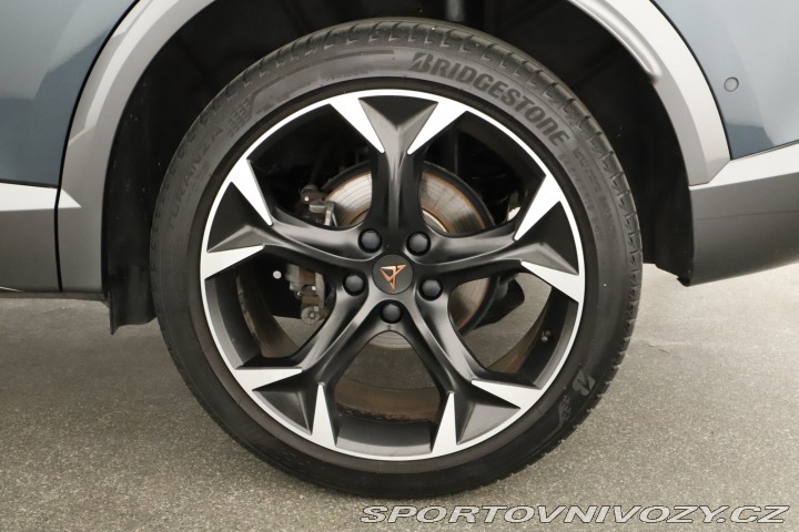 Cupra Formentor Performance 2.0 TSI 4Driv 2024