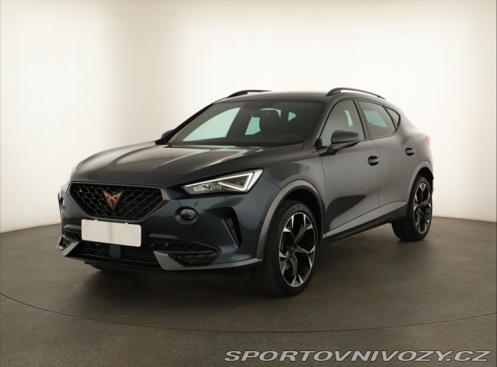 Cupra Formentor Performance 2.0 TSI 4Driv 2024