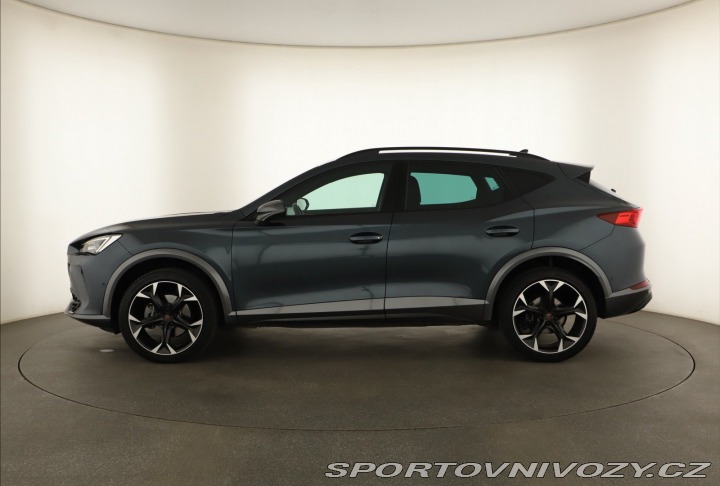 Cupra Formentor Performance 2.0 TSI 4Driv 2024