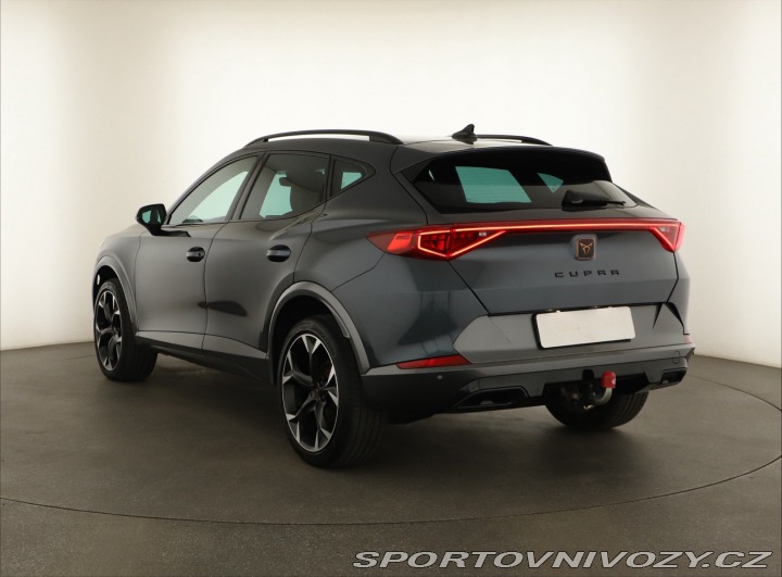 Cupra Formentor Performance 2.0 TSI 4Driv 2024