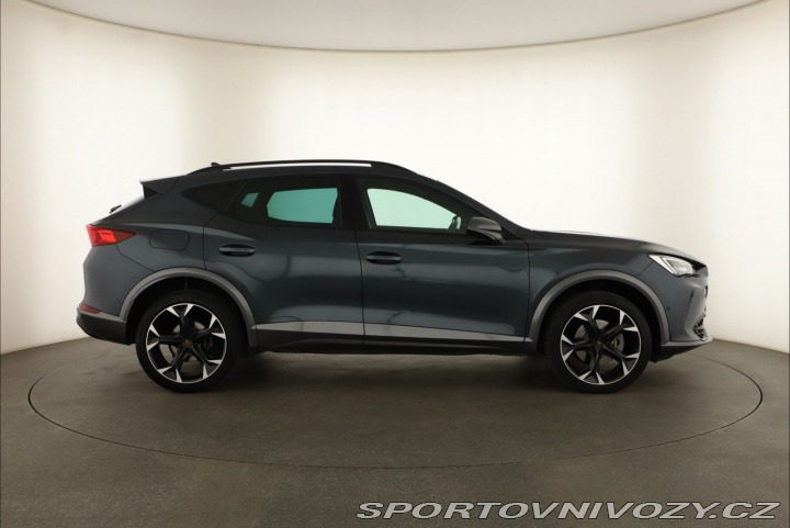 Cupra Formentor Performance 2.0 TSI 4Driv 2024