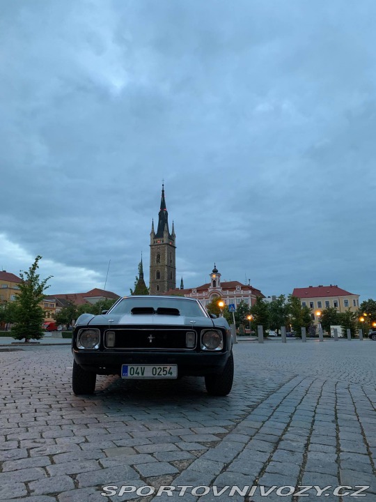 Ford Mustang Mach1 Fastback Cobra Jet 1973