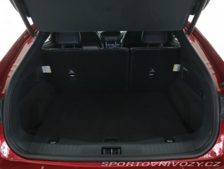 Ford Mustang Mach-E Standard Range RW 2021