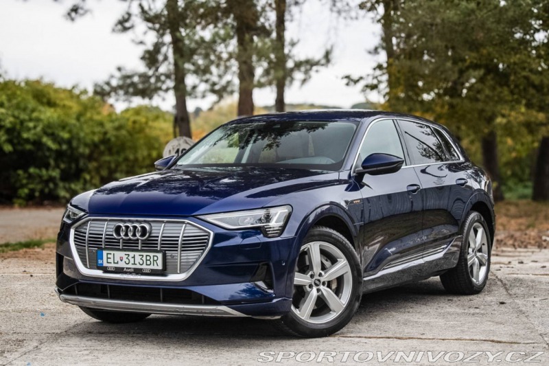 Audi Ostatní modely E-tron  50 Quattro 2021 230kW /