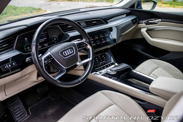 Audi Ostatní modely E-tron 50 Quattro 2021 230kW / 2021