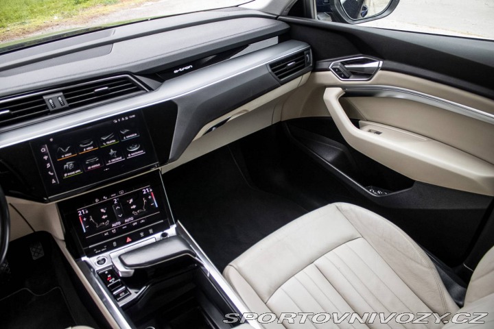 Audi Ostatní modely E-tron 50 Quattro 2021 230kW / 2021