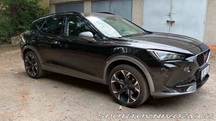 Cupra Formentor 1.5 TSI man,tažné,19,ACC 2022