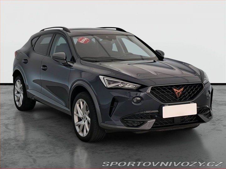 Cupra Formentor 2.0 TSI 4Drive 2024