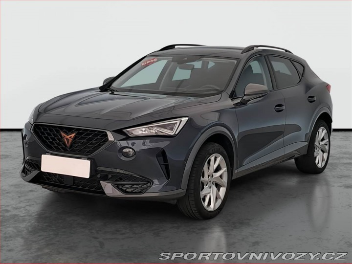 Cupra Formentor 2.0 TSI 4Drive 2024