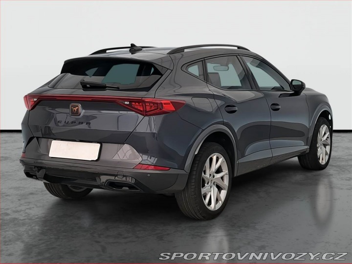 Cupra Formentor 2.0 TSI 4Drive 2024