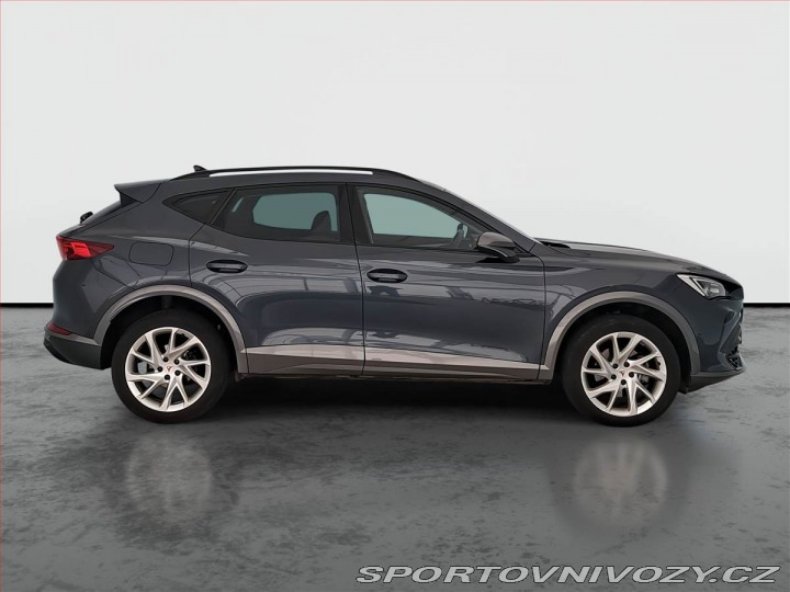 Cupra Formentor 2.0 TSI 4Drive 2024