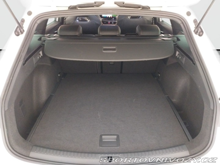 Cupra Leon 2.0 TSI 2024