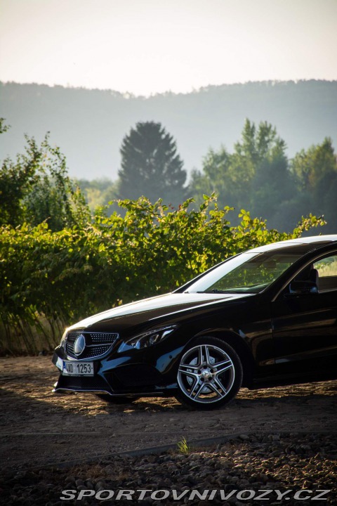 Mercedes-Benz E C207 2014