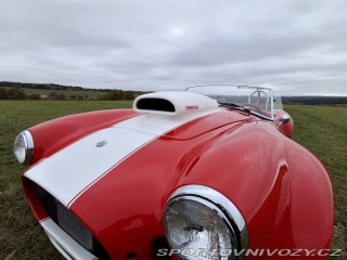 Cobra 427 427 1966