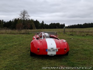 Cobra 427 427 1966