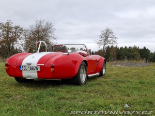 Cobra 427 427 1966