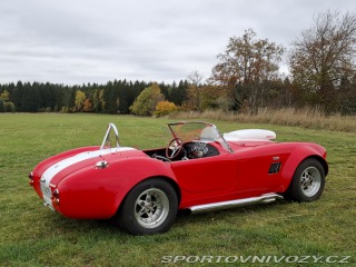 Cobra 427 427 1966