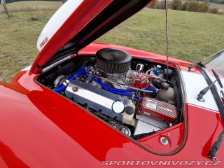 Cobra 427 427 1966