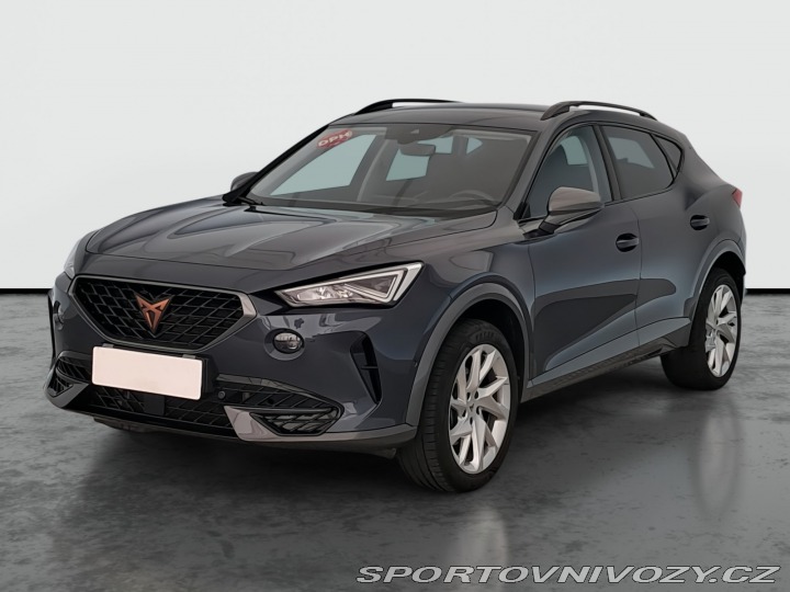Cupra Formentor 2.0 TSI 4Drive 2024