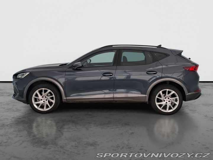 Cupra Formentor 2.0 TSI 4Drive 2024