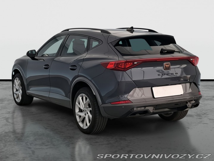 Cupra Formentor 2.0 TSI 4Drive 2024