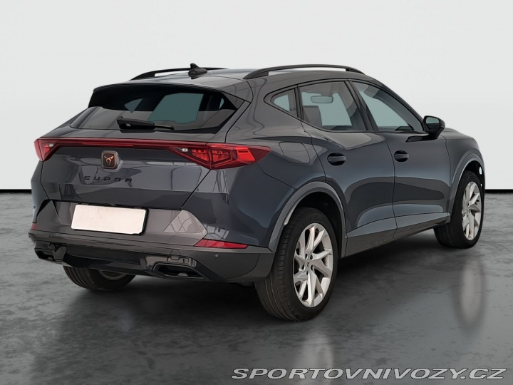 Cupra Formentor 2.0 TSI 4Drive 2024