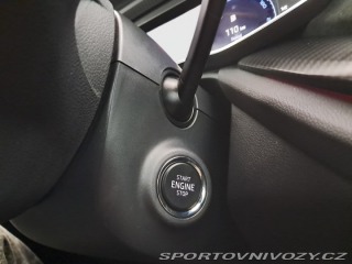 Škoda Octavia RS RS 2.0 TSI 2024