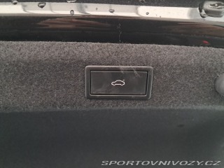 Škoda Octavia RS RS 2.0 TSI 2024