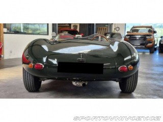 Jaguar D-Type replika 1960