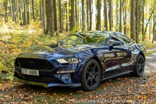 Ford Mustang GT 5.0 V8 55 Years