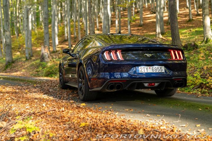 Ford Mustang GT 5.0 V8 55 Years 2020