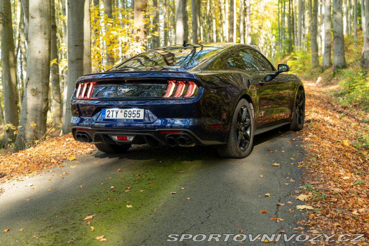 Ford Mustang GT 5.0 V8 55 Years 2020