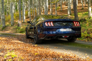 Ford Mustang GT 5.0 V8 55 Years 2020