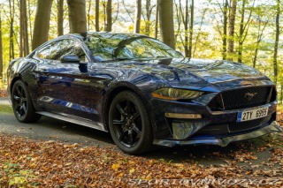 Ford Mustang GT 5.0 V8 55 Years 2020