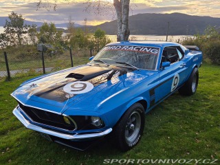 Ford Mustang 302 Small Block V8