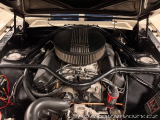 Ford Mustang GT Shelby GT350R 1965