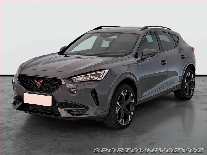 Cupra Formentor 2.0 TSI 4Drive 2024