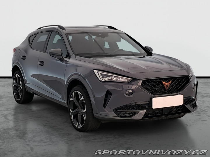 Cupra Formentor 2.0 TSI 4Drive 2024