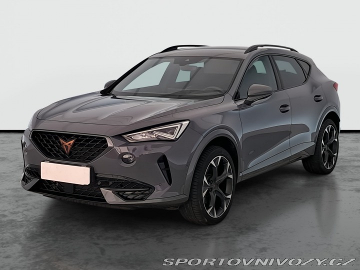 Cupra Formentor 2.0 TSI 4Drive 2024