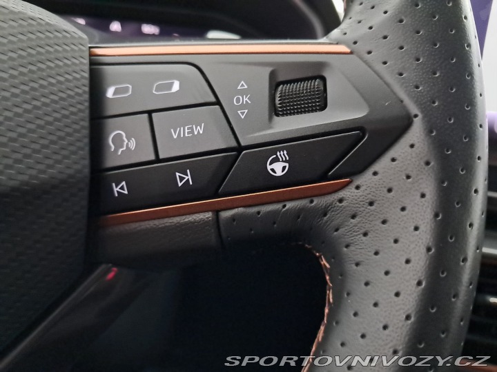 Cupra Formentor 2.0 TSI 4Drive 2024